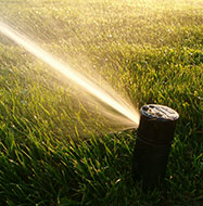 Sprinkler & Irrigation Services
