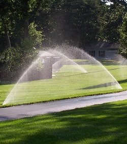 Sprinkler Repair Services